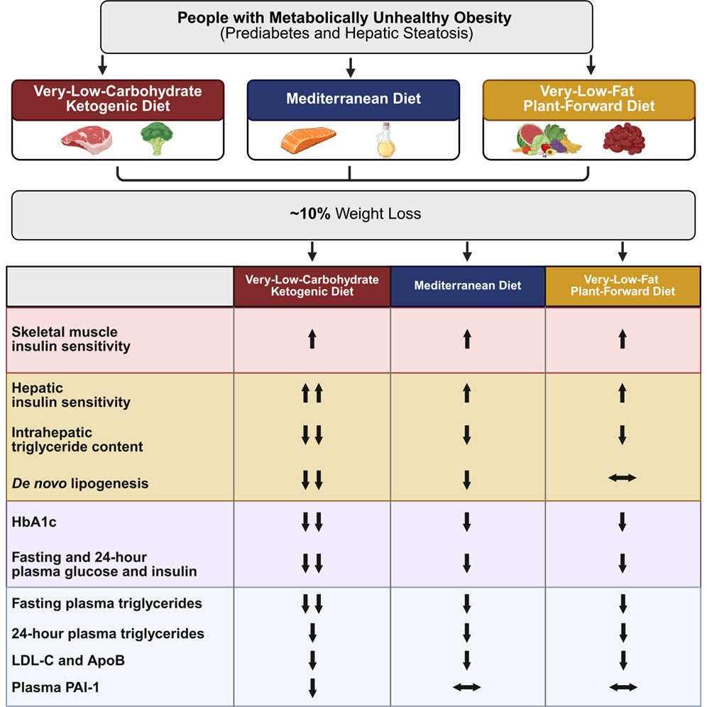 10% weight loss induced by a Mediterranean or very-low-fat diet in people with metabolically unhealthy obesity.