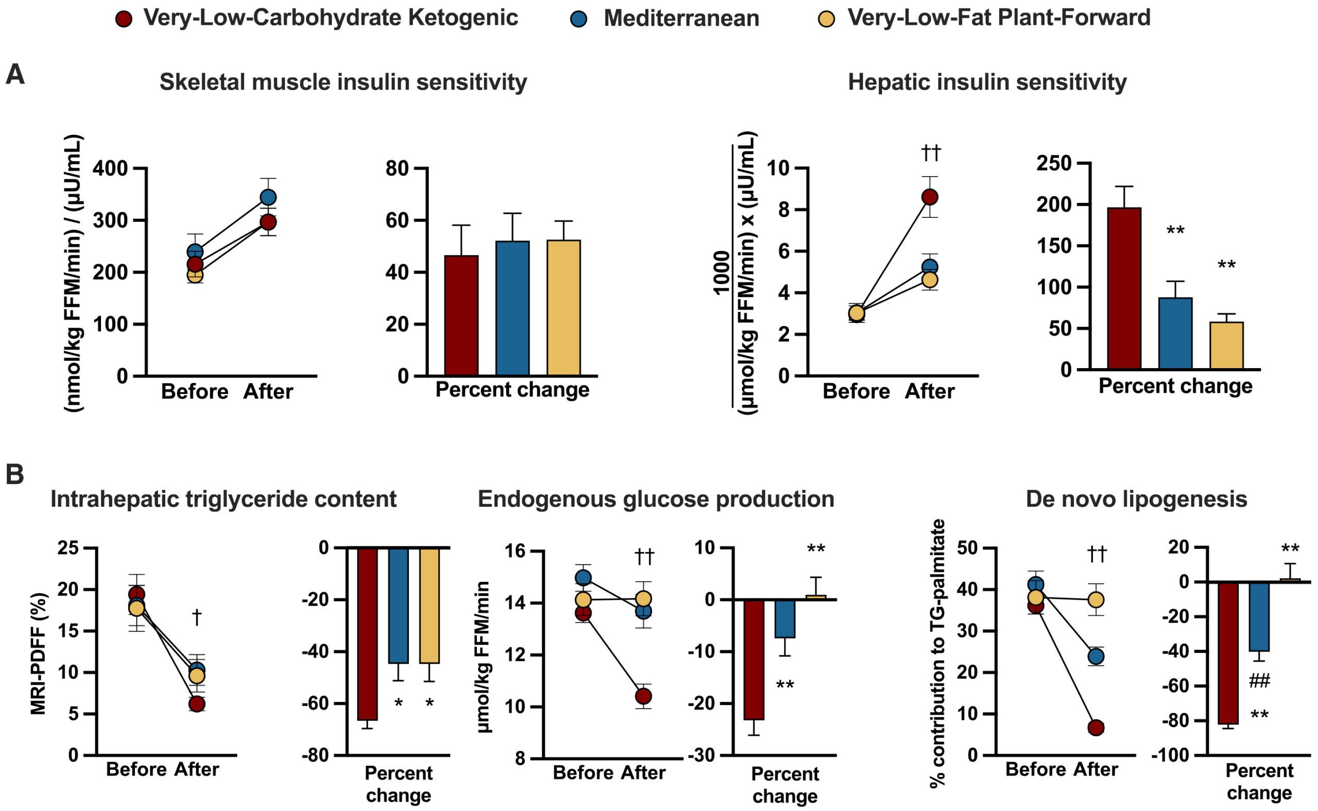 Skeletal muscle and hepatic metabolic function.