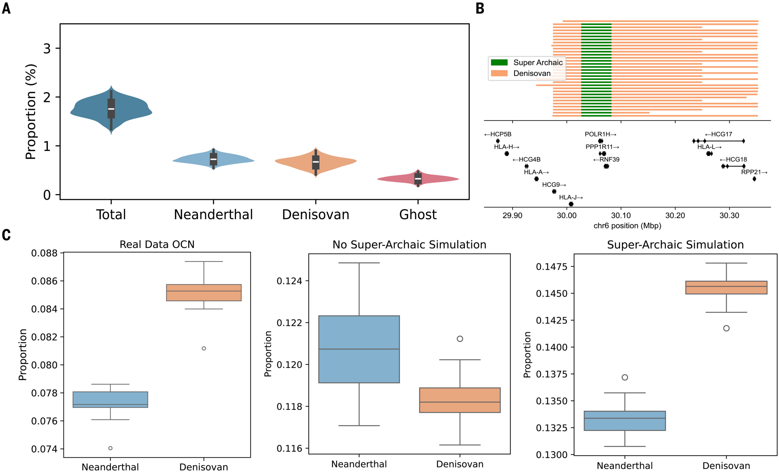Super-archaic ancestry detected using TRACE within Oceanian (OCN) genomes.