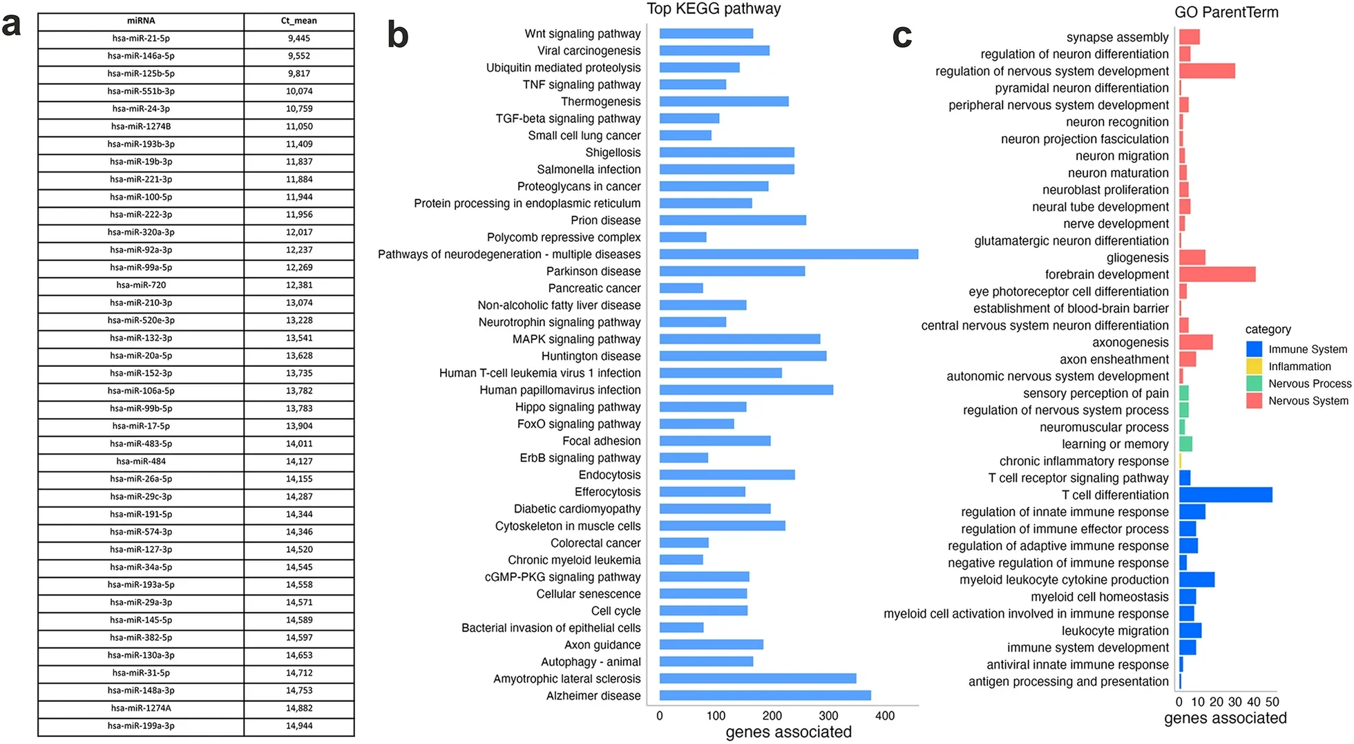 miRNA profiling and functional enrichment analysis of the top-ranking miRNAs in the hAMSC-EVs.