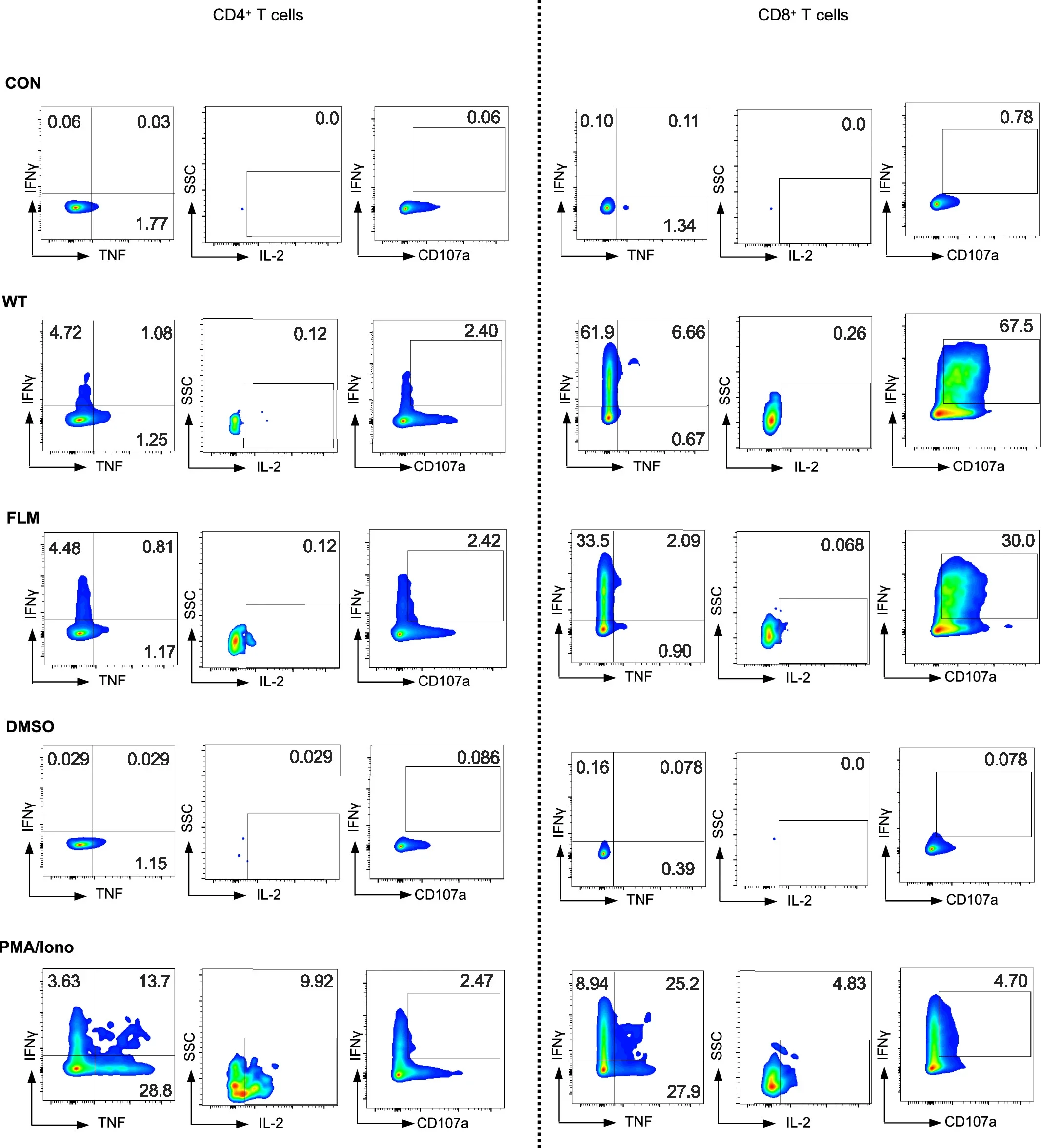 Representative Dot Plots for Cytokine Production Experiments.