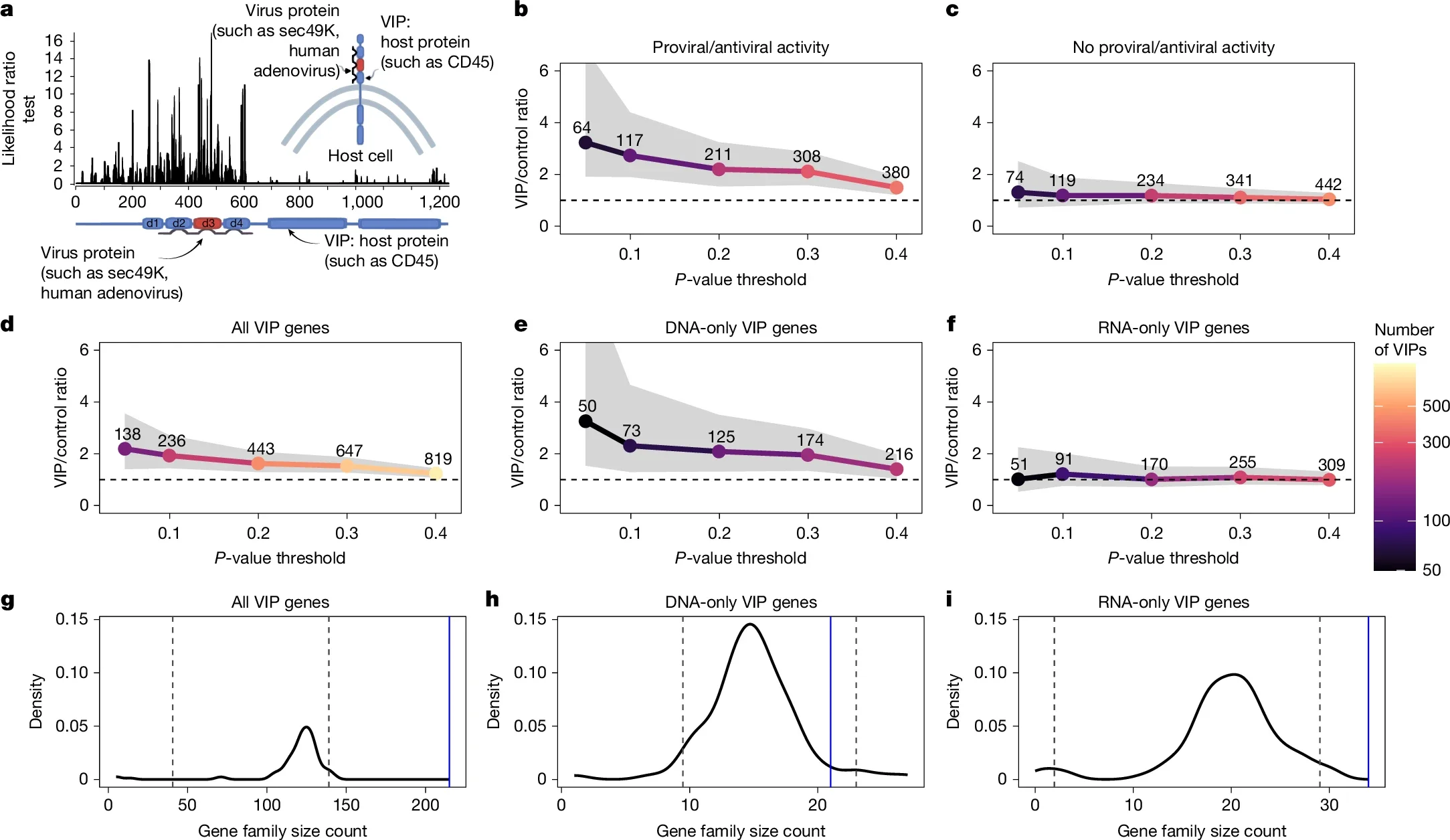 Adaptation to DNA viruses, but not RNA viruses, is enriched in Myotis and other bats.