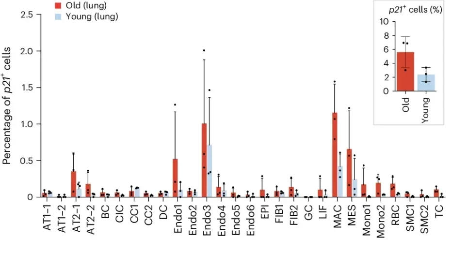 Cell-type-specific senescence programs revealed by differential expression profiling in aging lung and skin.