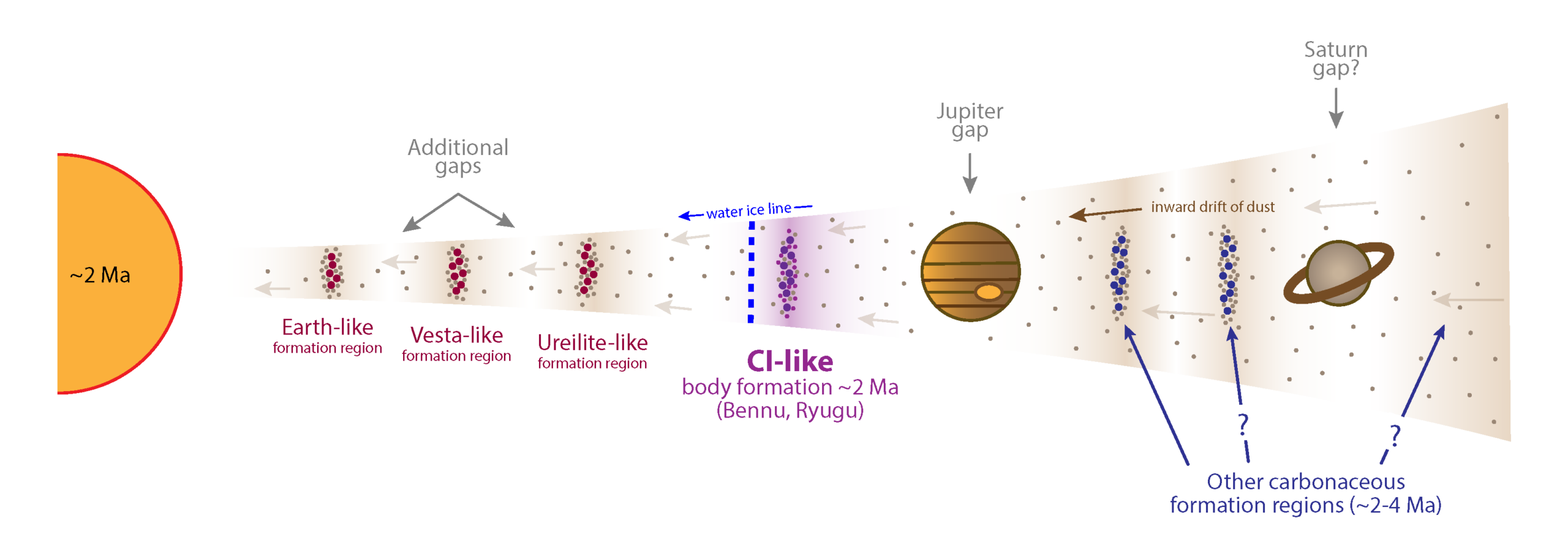 Dust rings as regions of formation for various celestial bodies in the protoplanetary disc orbiting the Sun.  