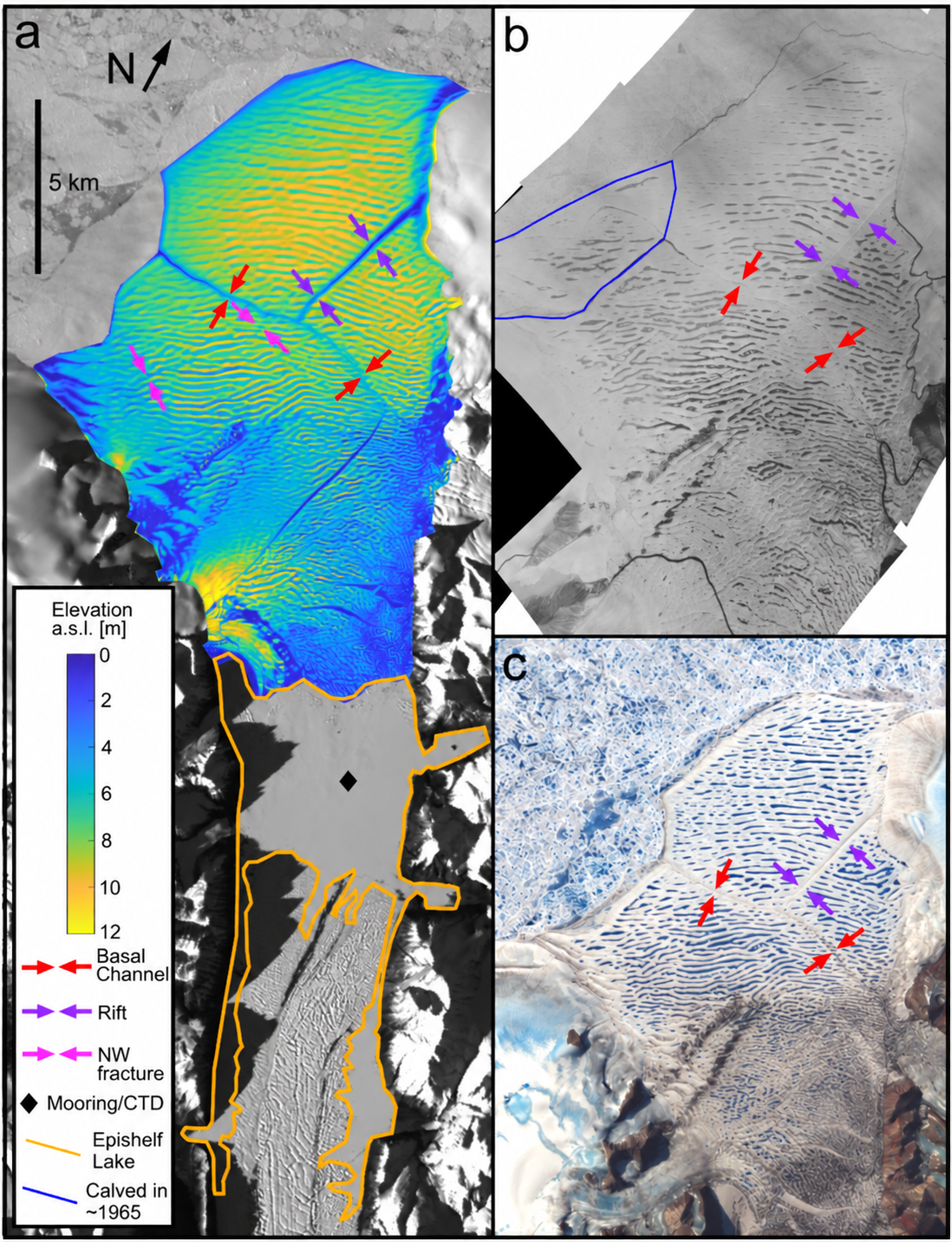 Milne Ice Shelf and Milne Fiord epishelf lake. a) Landsat-8 image of Milne Fiord from September 2018 with Milne Ice Shelf ice surface elevation from ArcticDEM mosaic and the Milne Fiord epishelf lake (MEL) outline. b) 1959 aerial mosaic image of Milne Ice Shelf with the area that calved around 1965. c) July 2009 ASTER image of Milne Ice Shelf. 