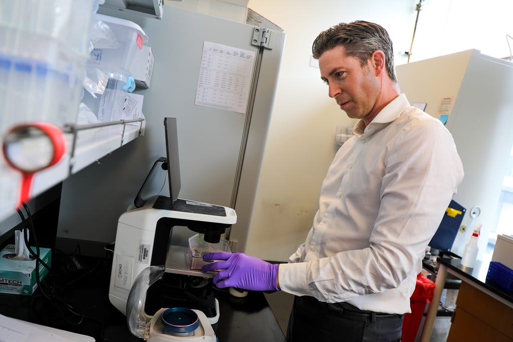 Robert L. Eil, M.D., is co-senior author of a new study in Science that identifies a previously unknown way tumors escape immune attack and points to a promising new target for cancer immunotherapy.