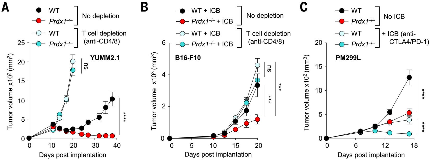 Tumor-derived PRDX1 limits T cell-mediated antitumor immunity and response to immune checkpoint blockade.