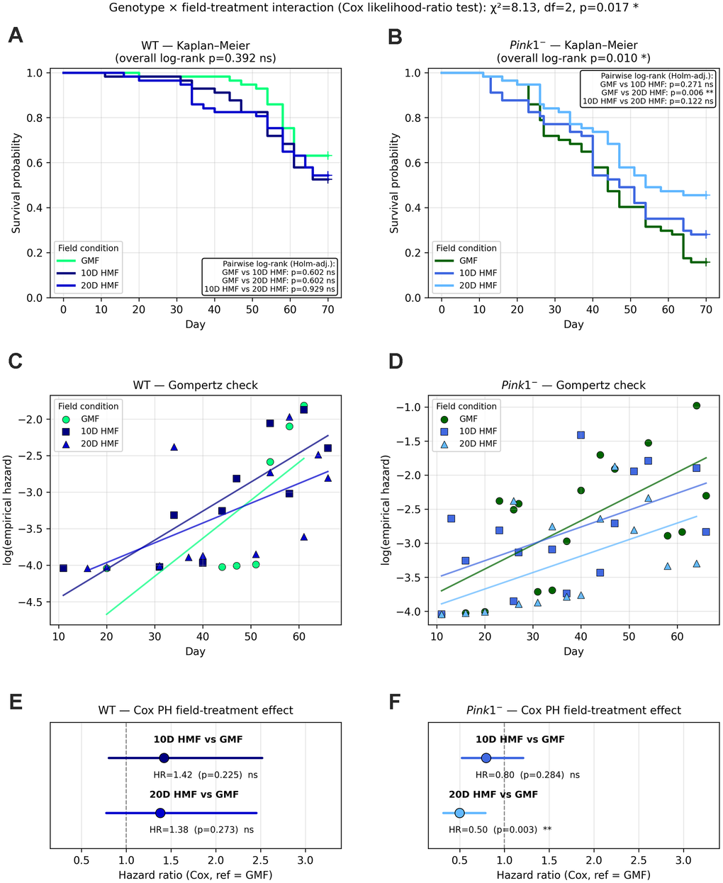 Pink1- D. melanogaster has significantly increased probability of survival with HMF.