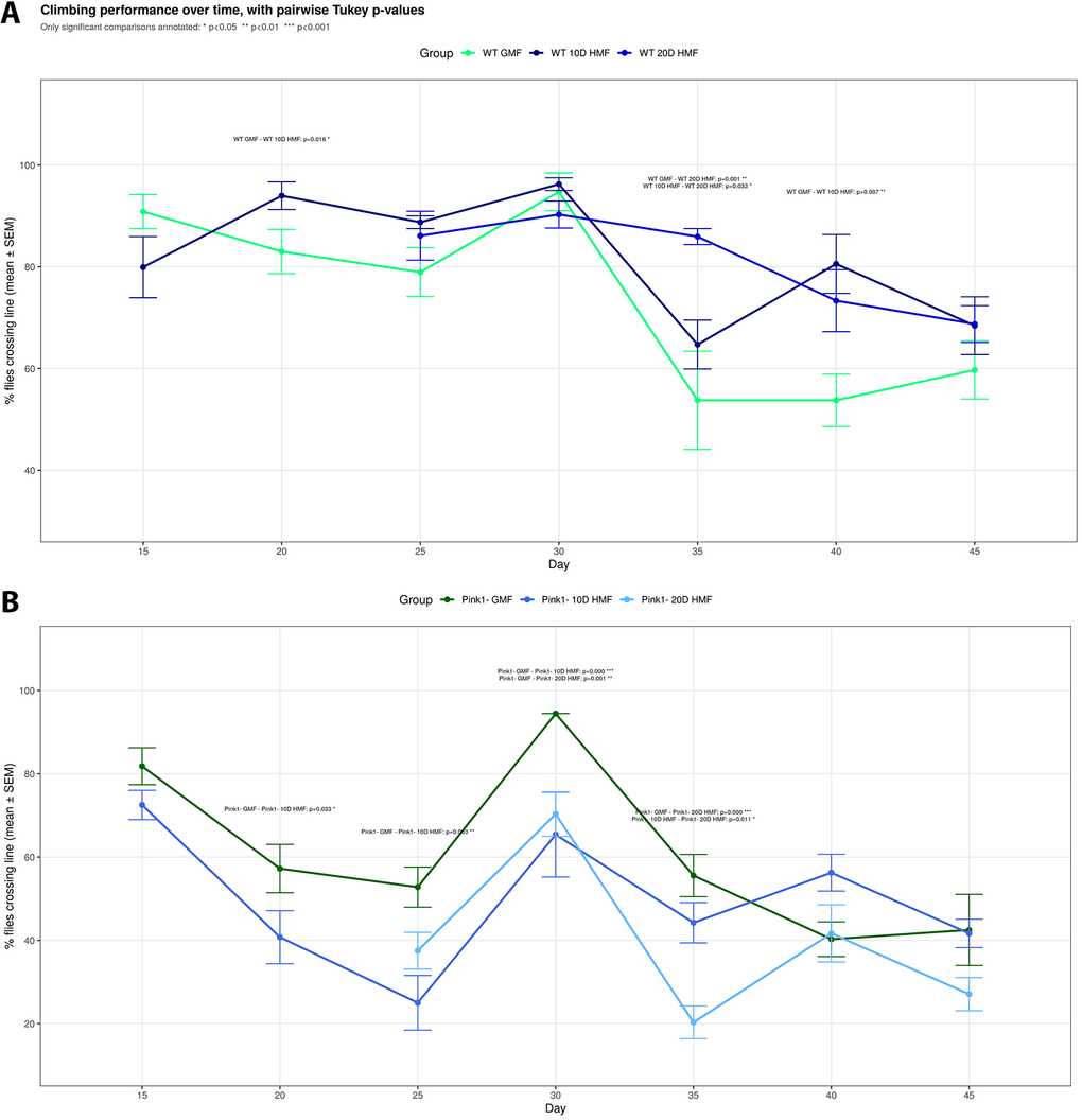 HMF affects climbing ability in WT and Pink1- D. melanogaster.