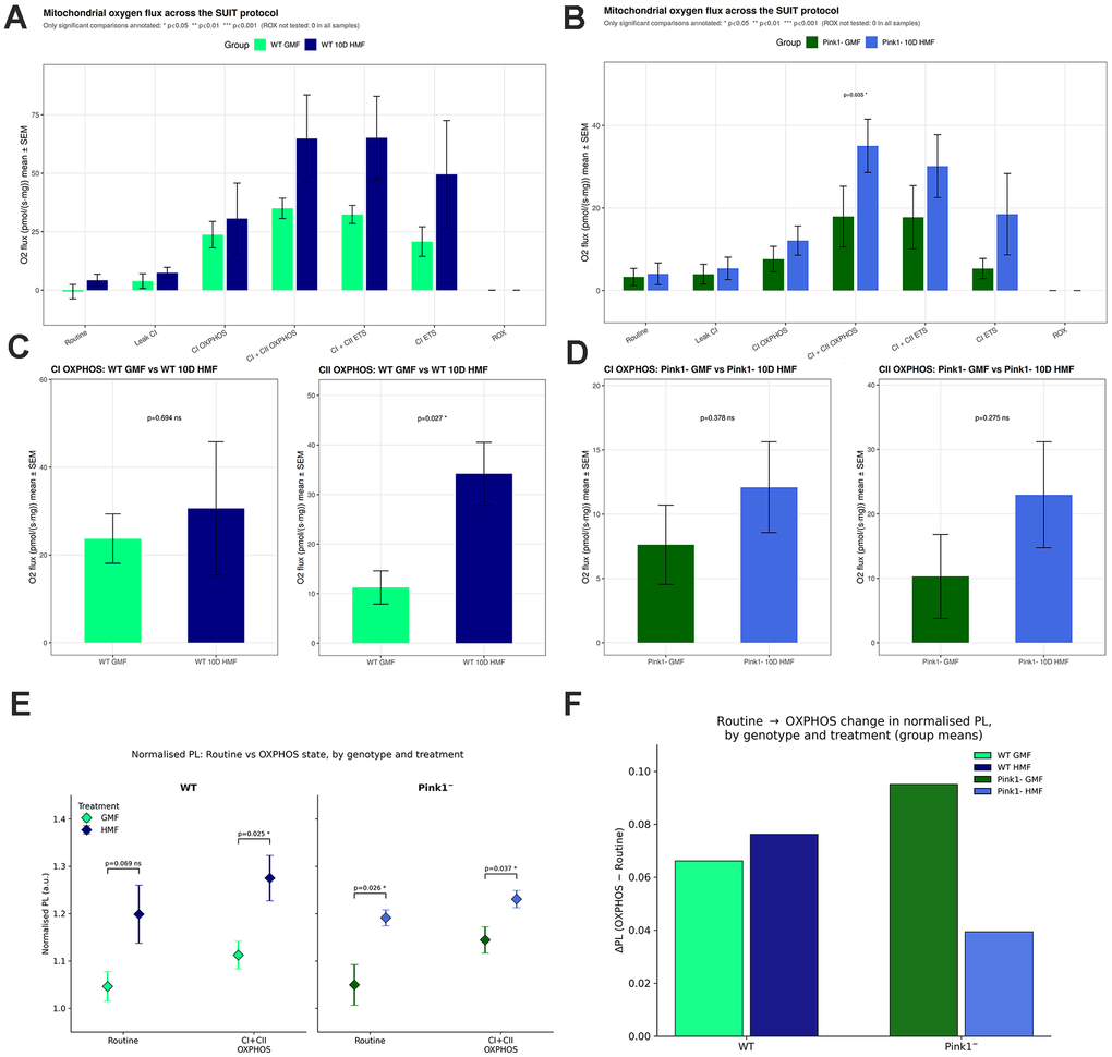 High resolution respirometry and mitochondrial free radical detection of control (WT) and Pink1- D. Melanogaster.