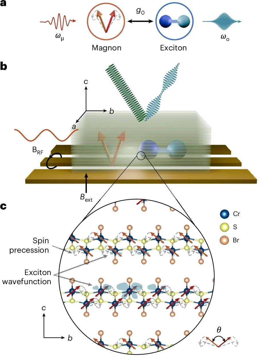 Transduction platform and magneto-optical characterization.