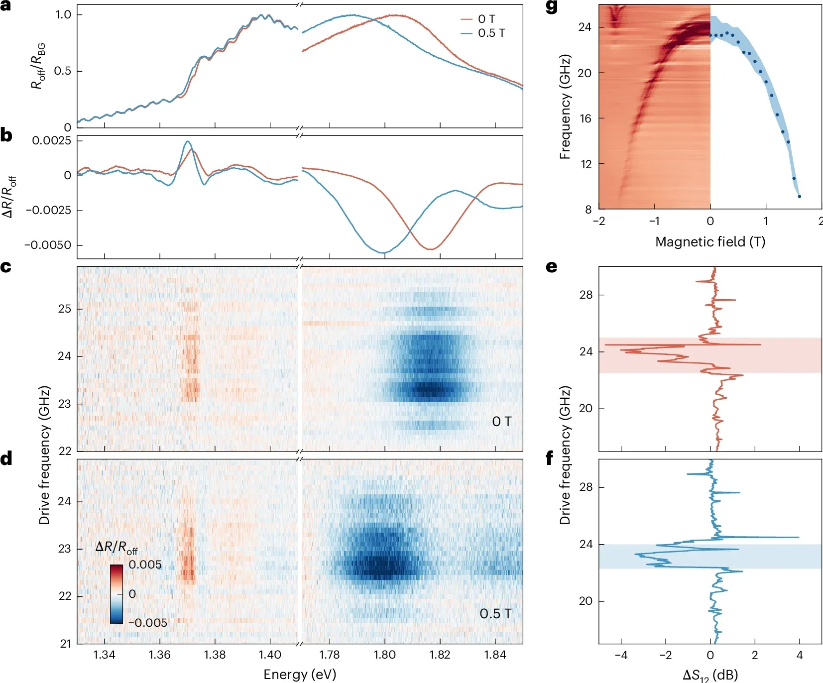 Magnon-induced reflectance change.