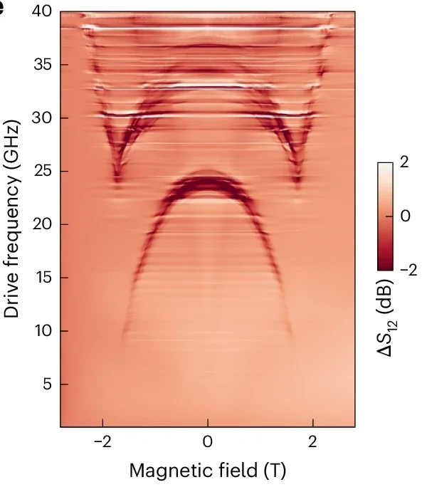 Microwave transmission change (ΔS21) as a function of the magnetic field showing magnon dispersion. The lower and upper branches correspond to optical and acoustic magnon modes, respectively.