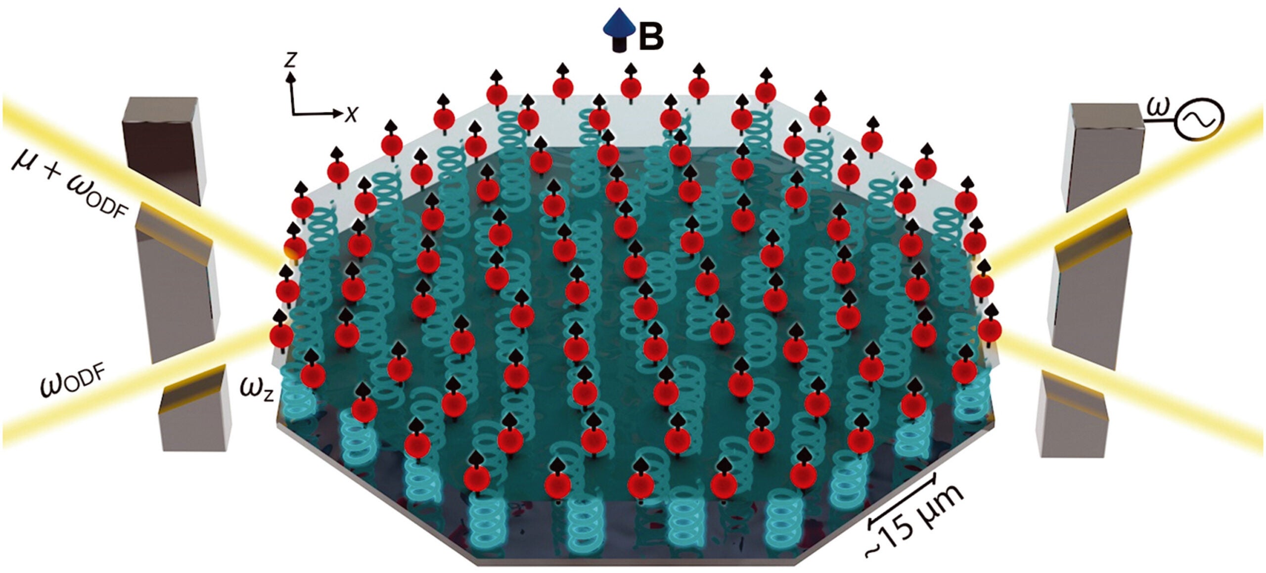 Trapped-ion crystal quantum sensor.
An ensemble of beryllium ions (red dots) confined within a Penning trap self-arrange into a 2D triangular lattice.