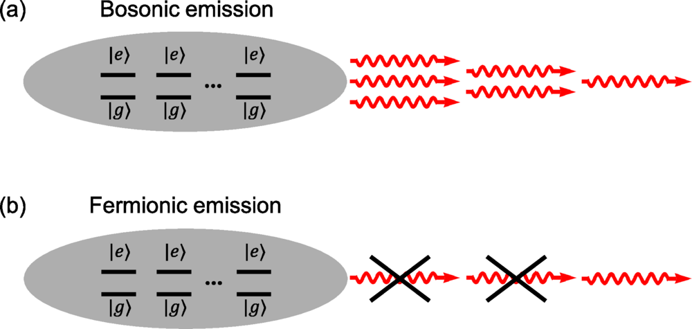 Superradiant “laserlike” emission of light has been observed from sodium BEC after laser excitation. Recently, it has been suggested that radioactive BEC can be used to realize neutrino lasers. However, as we explain in this Letter, fermionic emission cannot be enhanced.