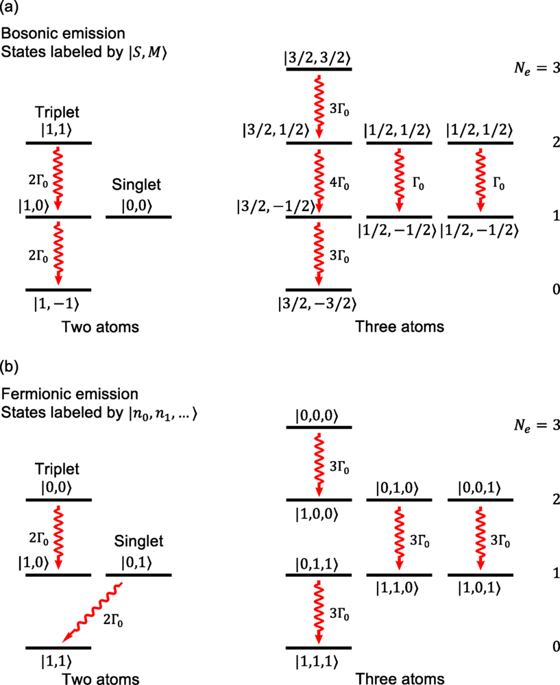 Comparison of the collective emission process for bosonic and fermionic radiation. In the bosonic case, the emission occurs along Dicke “ladders,” whereas for fermions the emission stops after emitting a single neutrino due to Pauli blocking by a fermionic excitation left behind after the emission. For neutrino emission, the states form coupled pairs of bright and dark states.