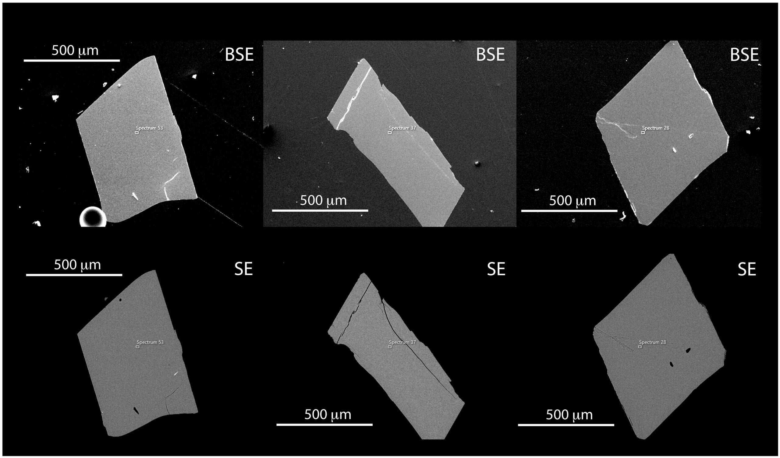 Backscattered electron (BSE; top row) and corresponding secondary electron (SE; bottom row) images for three grains of AM1 sanidine.