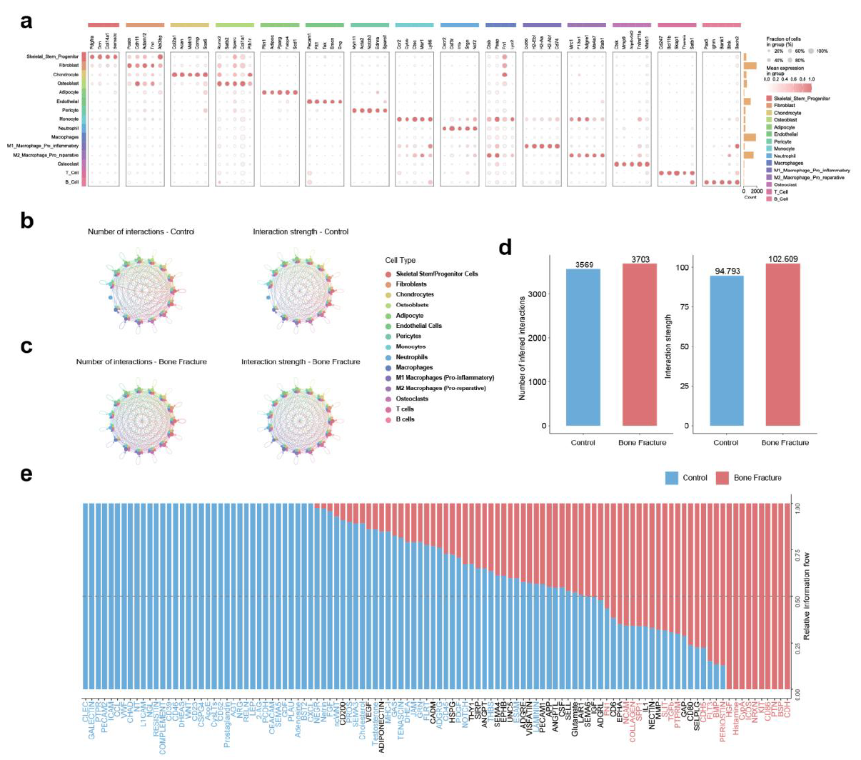 Cellular heterogeneity and global communication network changes during bone healing.