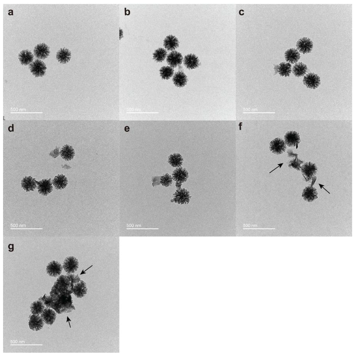 TEM images of CaAl-DMSN after incubation in PBS at 37 °C for 0 weeks (a), 1 week (b), 2 weeks (c), 3 weeks (d), 4 weeks (e), 5 weeks (f), and 6 weeks (g).
