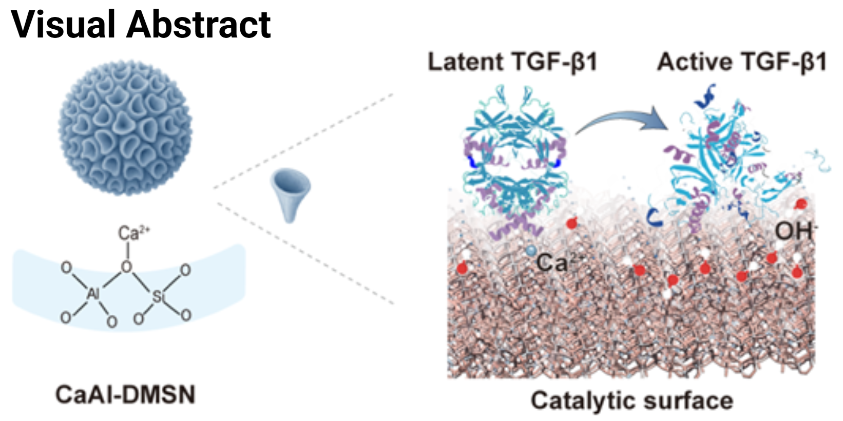 Visual abstract: A biomedical schematic showing porous calcium-aluminosilicate nanoparticles acting at a bone injury site.
