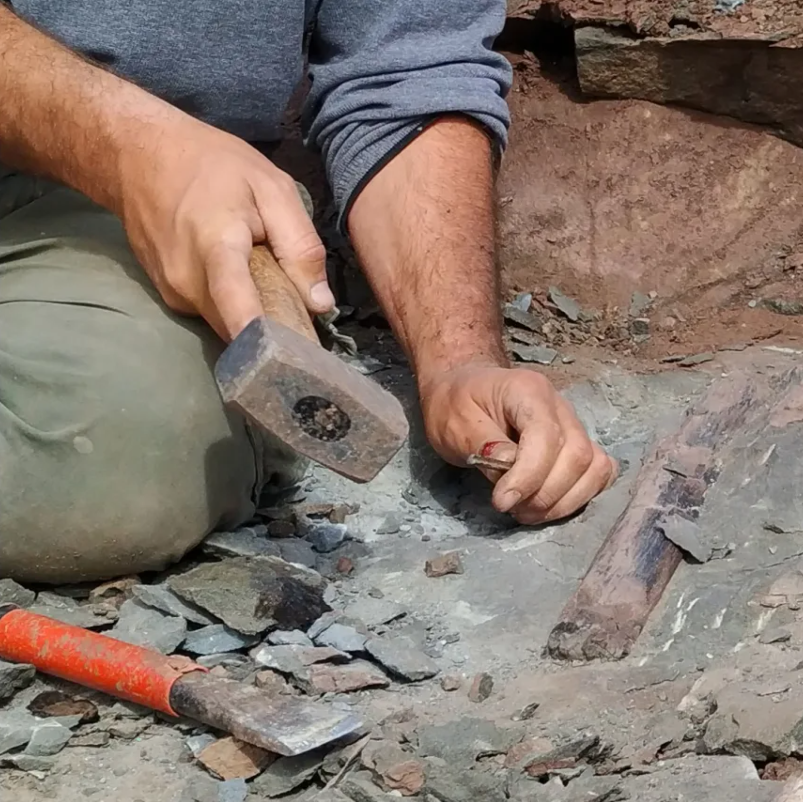 Paleontologists excavated dinosaur bones from Argentina’s Chorrillo Formation.