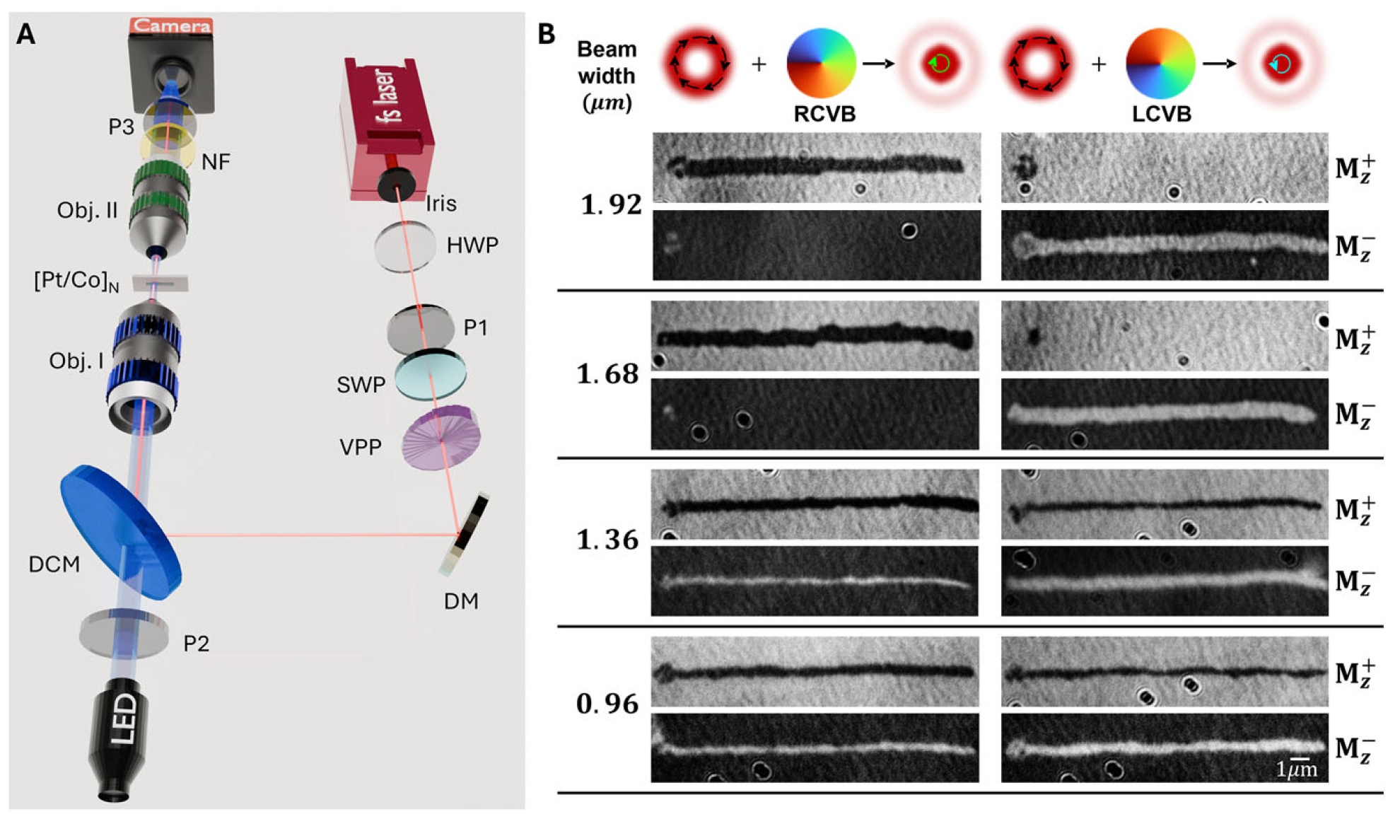 Transitioning from helicity-dependent to helicity-independent switching through optical beam shaping.