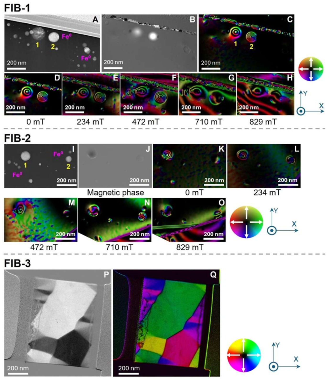 Magnetic domain states of lunar iron grains, showing their structure, magnetic vortices, induction patterns, and changes in nanoparticle magnetization under increasing magnetic fields.