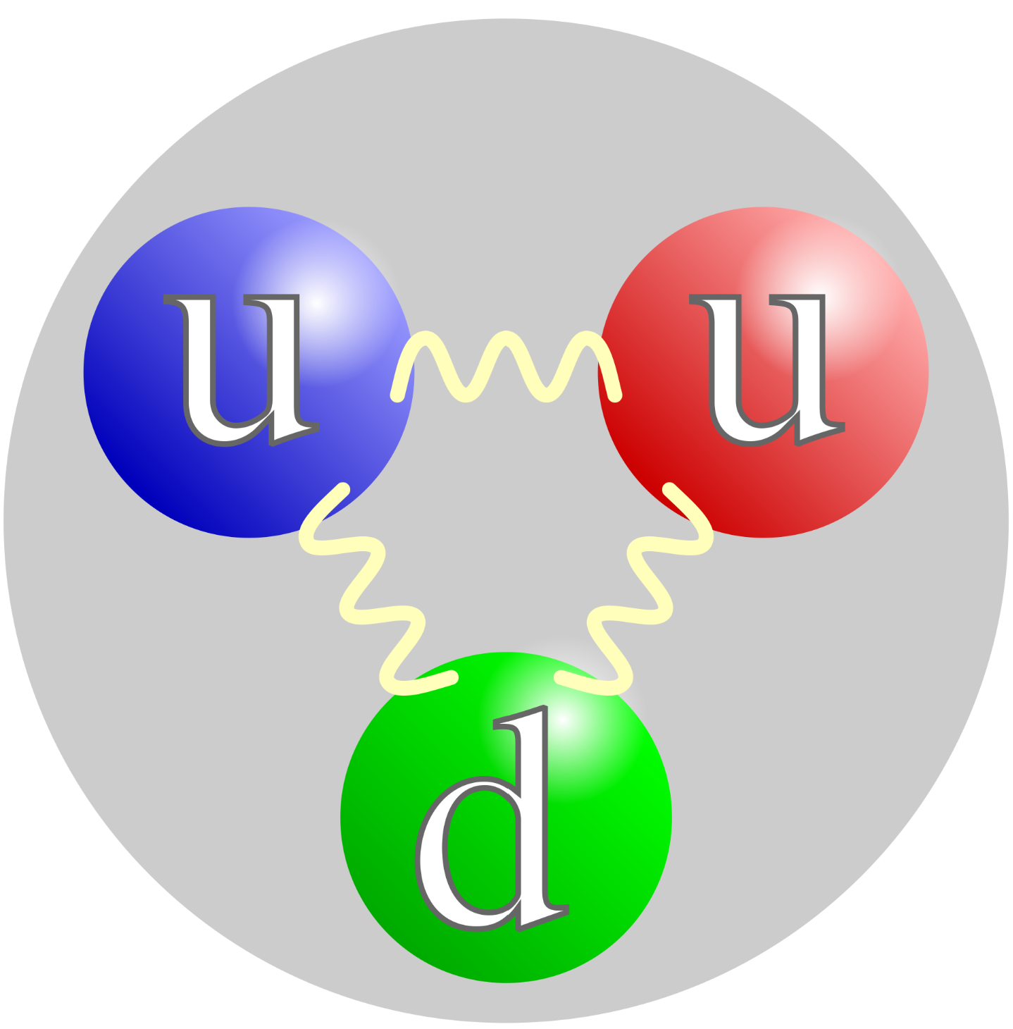 A proton is composed of two up quarks, one down quark, and the gluons that mediate the forces "binding" them together.