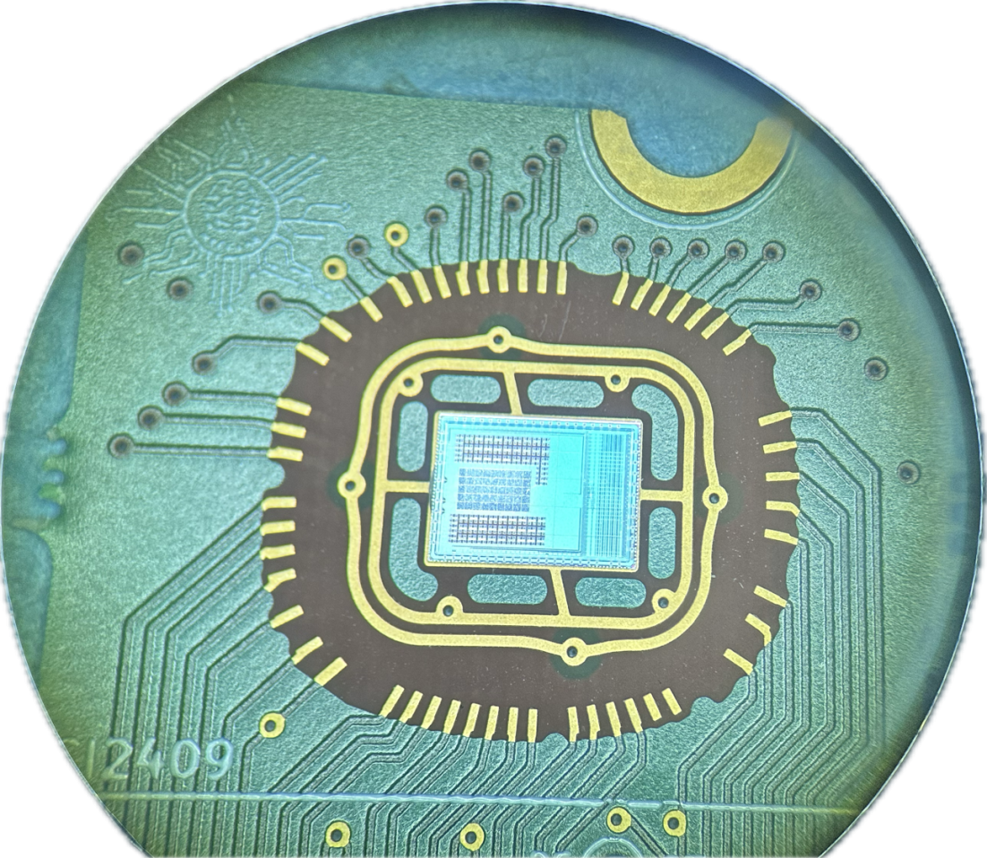 Image of a chip devised by Max and collaborators at the Eindhoven University of Technology (TU Eindhoven) and Kiel University.