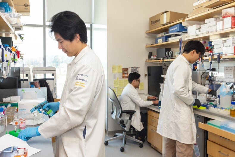 Terry Zhang, Kenneth Loi, and Peter Yoon (left to right) in the Doudna Lab at the Innovative Genomics Institute.