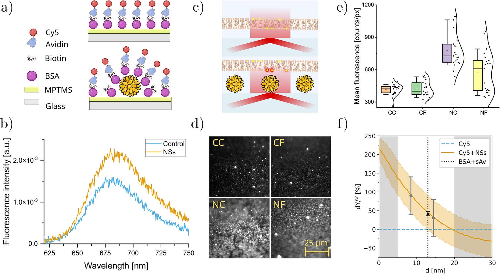 Control over nanostar-fluorophore coupling allows tunable plasmonic enhancement.