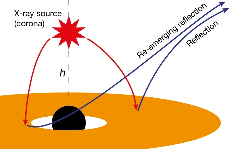 Schematic of the X-ray reverberation model.