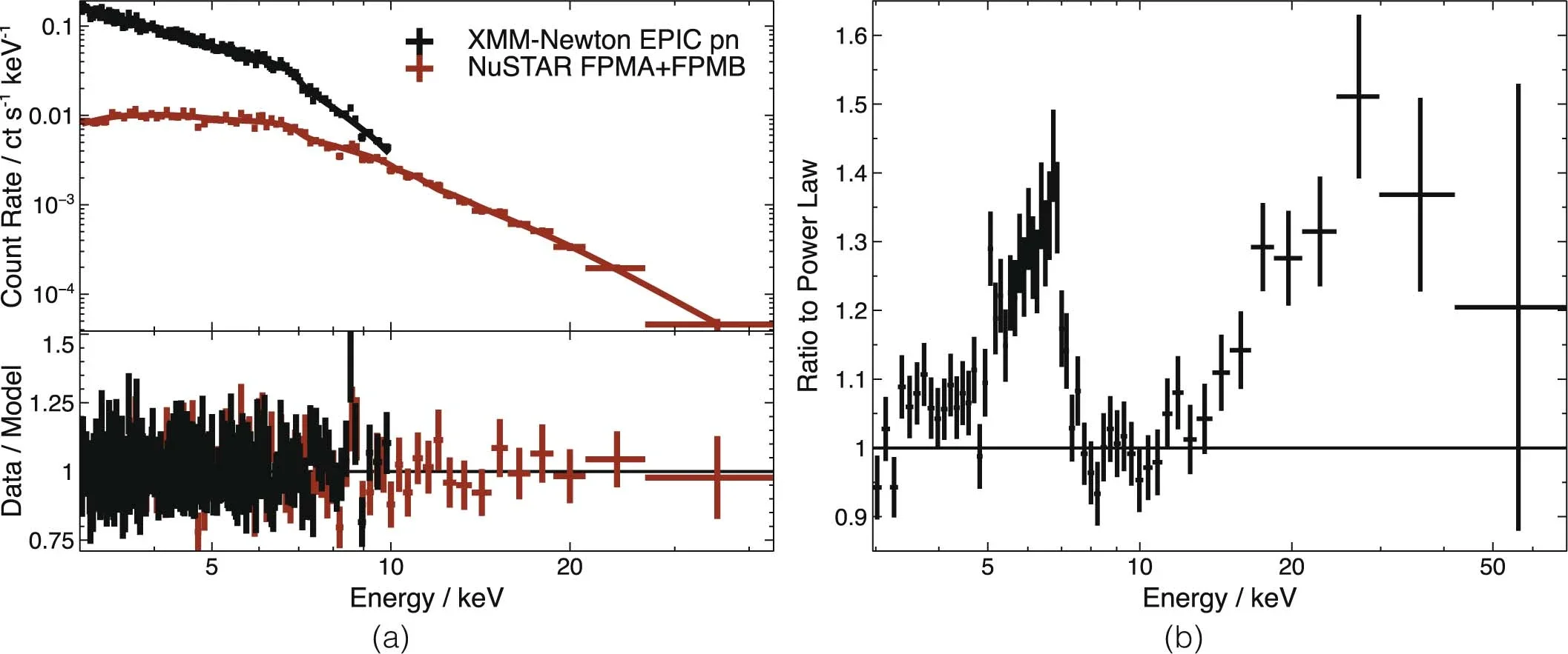 The soft and hard X-ray spectra of I Zw 1 obtained by XMM-Newton and NuSTAR during the 2020 observations