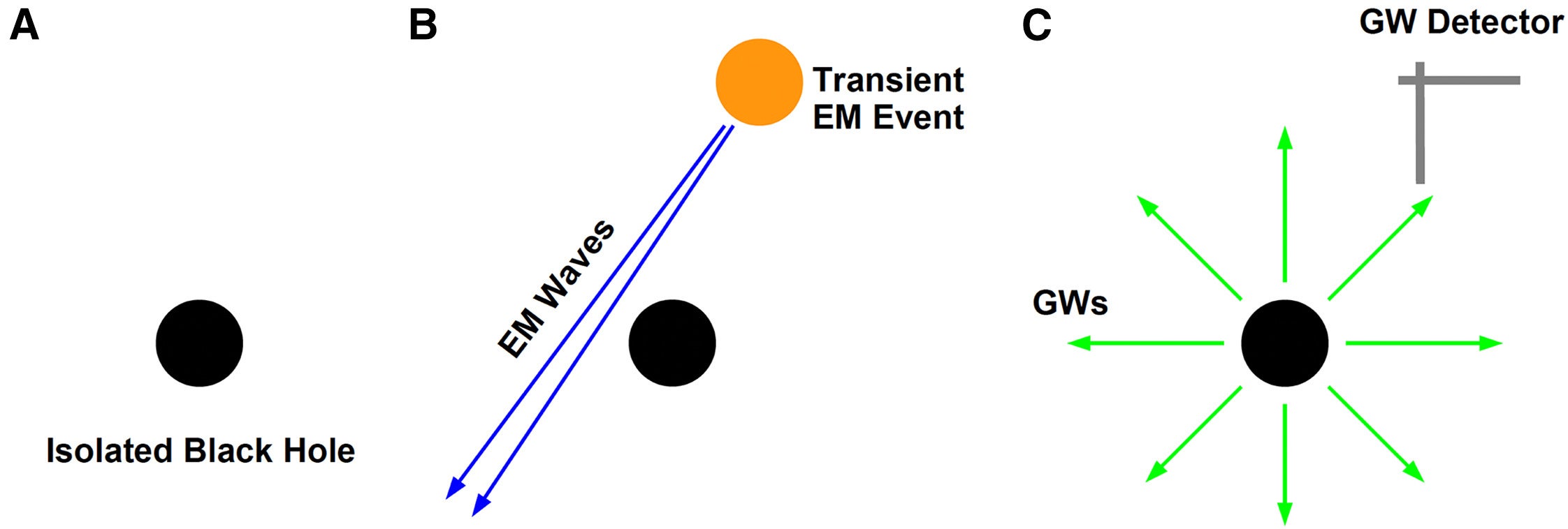 Detection of nearby isolated black holes with gravitational waves.