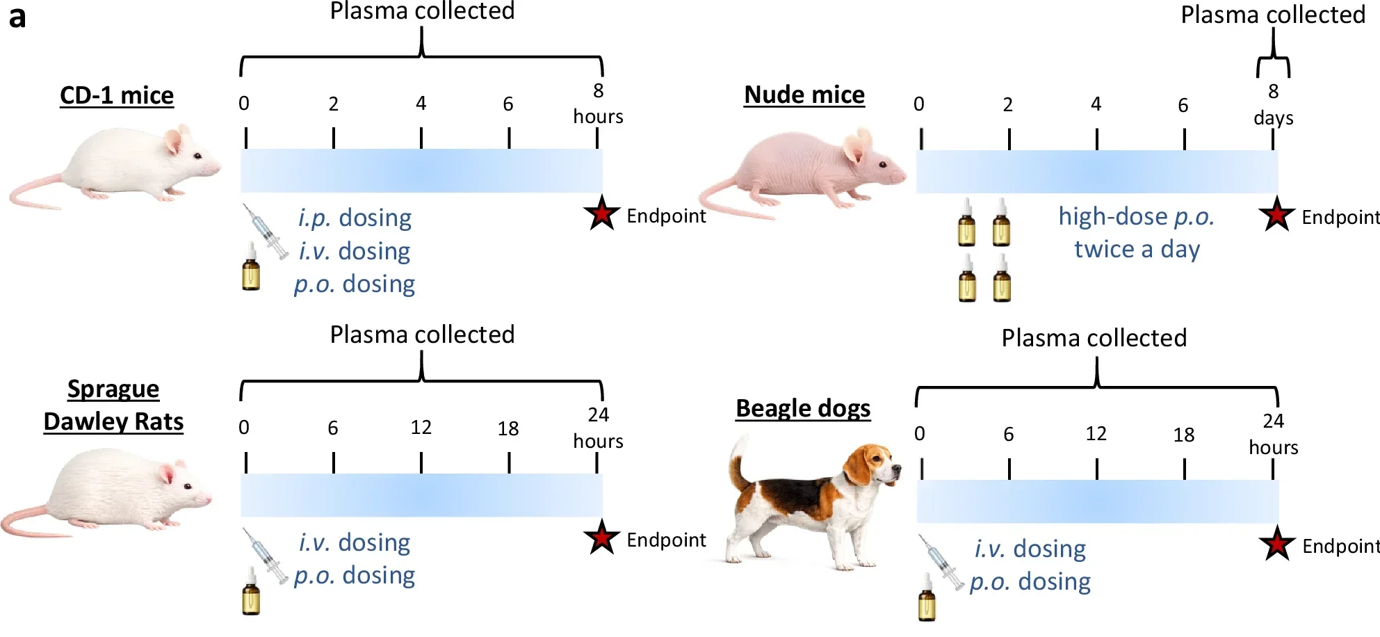 Pharmacokinetics and tolerability in CD-1 (n = 6) and Nude (n = 5) mice.