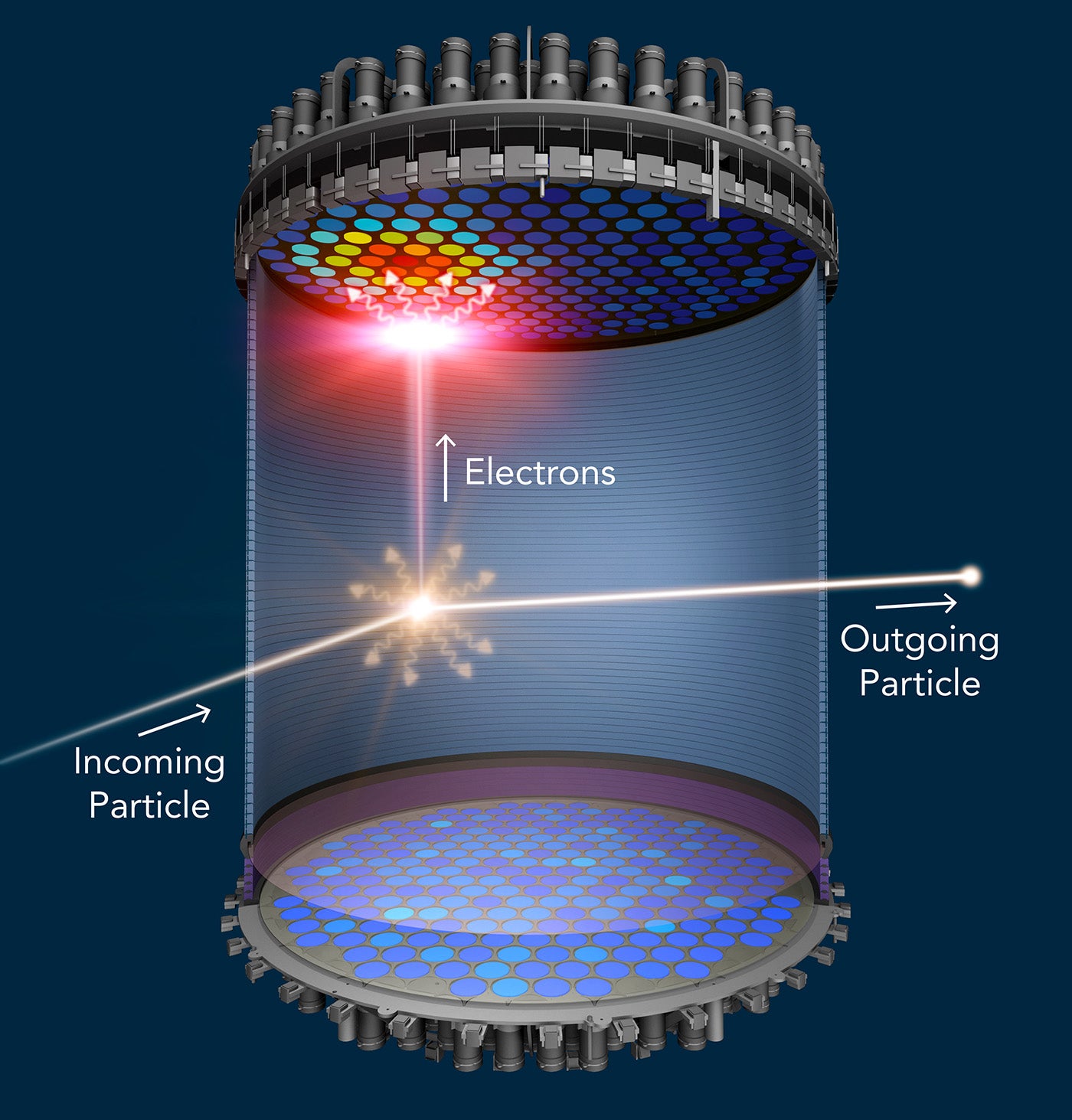 When a WIMP collides with a xenon atom, the xenon atom emits a flash of light and electrons. The light is detected at the top and bottom of the liquid xenon chamber. An electric field drifts the electrons to the top of the chamber, where they generate a second flash of light. 