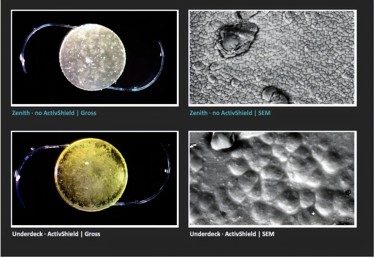 All six flight LALs displayed the same unresolved surface features.