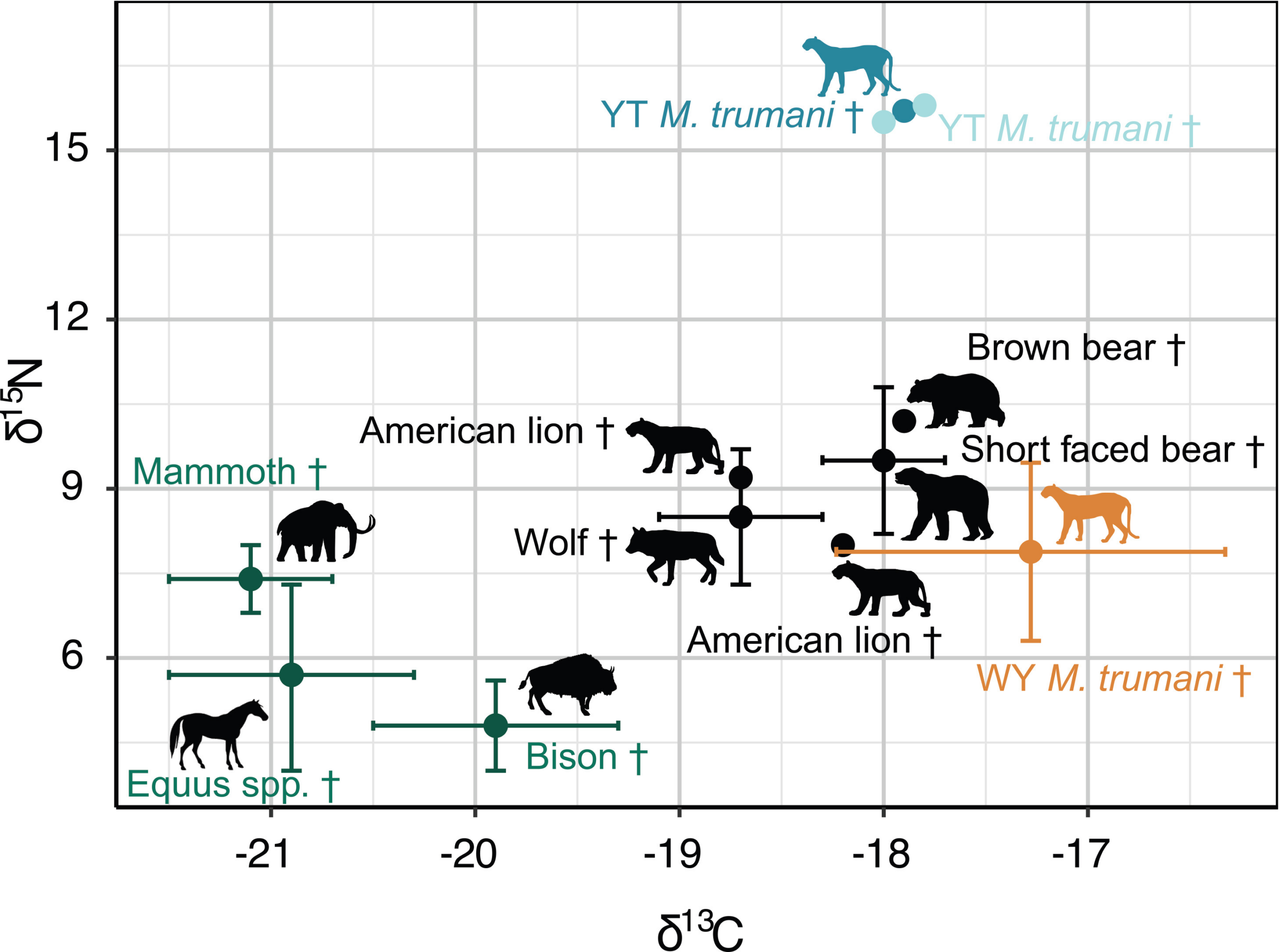 Isotopic differentiation of M. trumani relative to coeval Beringian fauna