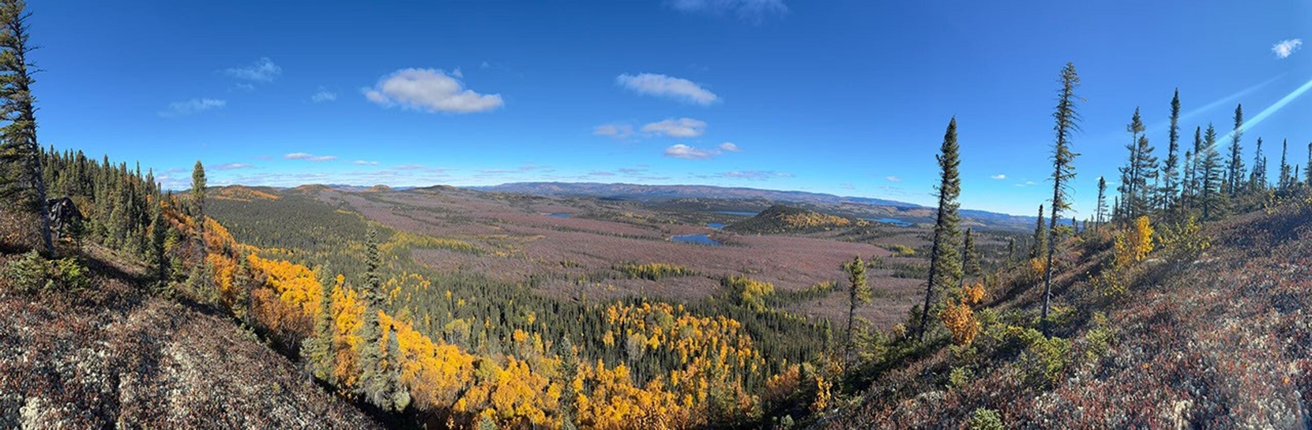 A panorama from the crater rim shows the varied terrain, trees, and lakes within the impact structure.