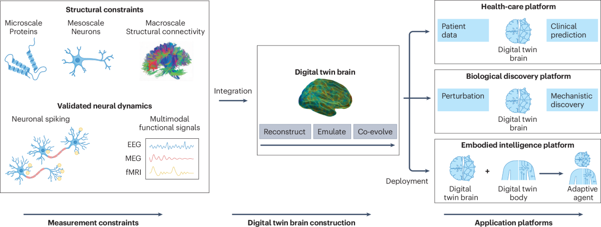 Development pathways and application platforms of DTBs.