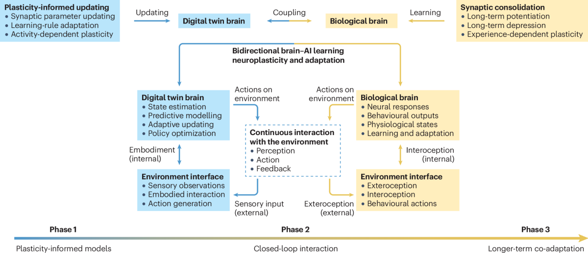 Adaptive extension through closed-loop interaction.
