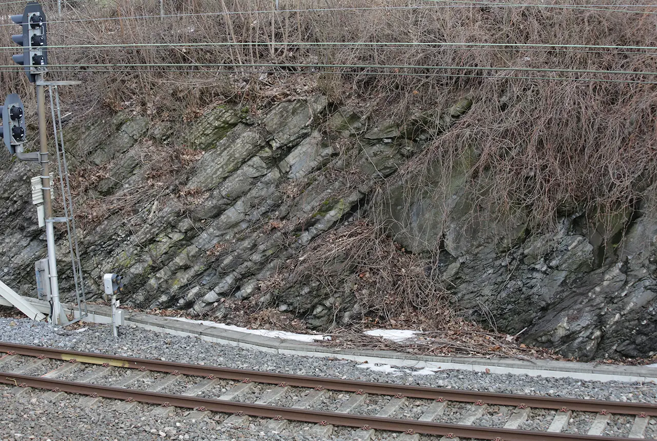 Embankment of the railway line north of Oslo, close to Sinsen station. Dipping strata of the Arnestad Formation (Sandbian Stage, Late Ordovician), comprise light grey coloured shales containing thin beds of grey-green altered volcanic ash (tephra) likely erupted from the ‘Wash Supervolcano’.
