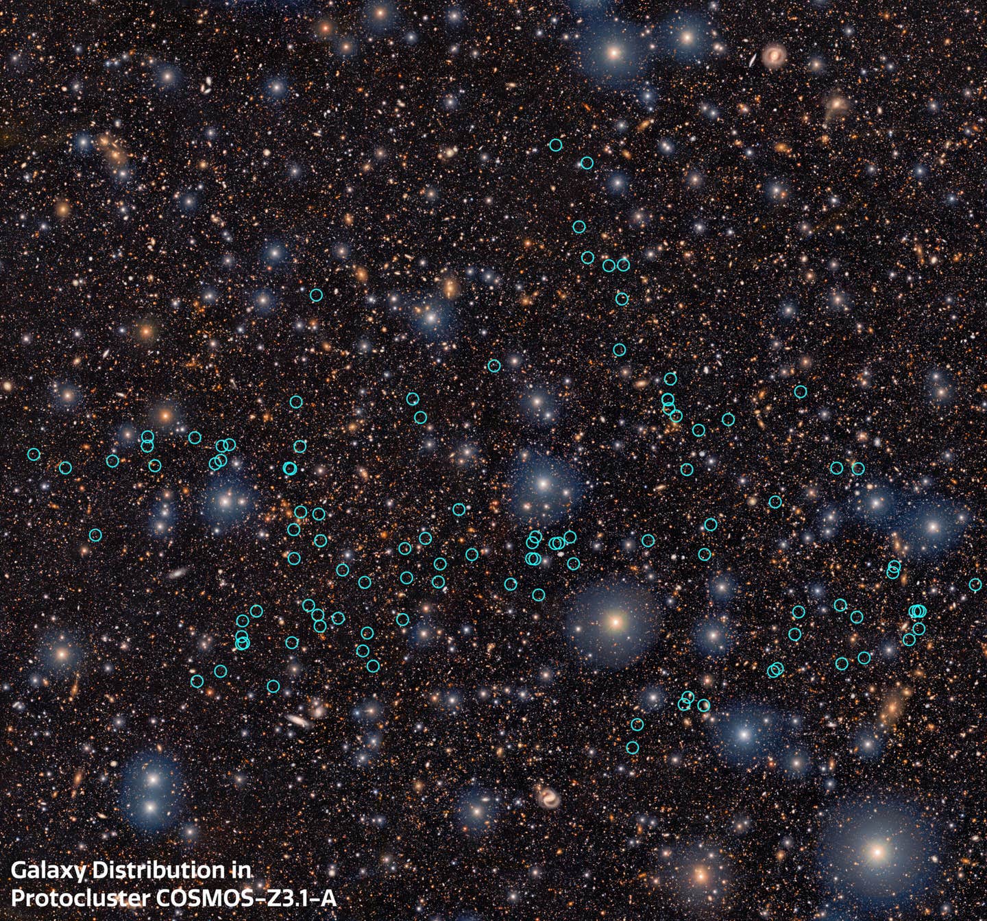 Captured within this image is the newly discovered galaxy proto-supercluster named COSMOS-z3.1-A.
