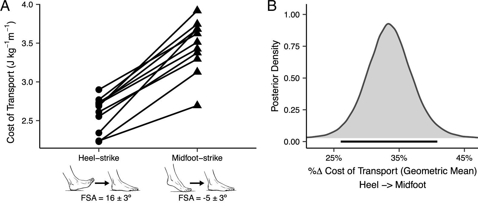 Net metabolic cost of transport (COT) and ground reaction force (GRF) variables in human heel-strike versus midfoot-strike walking.