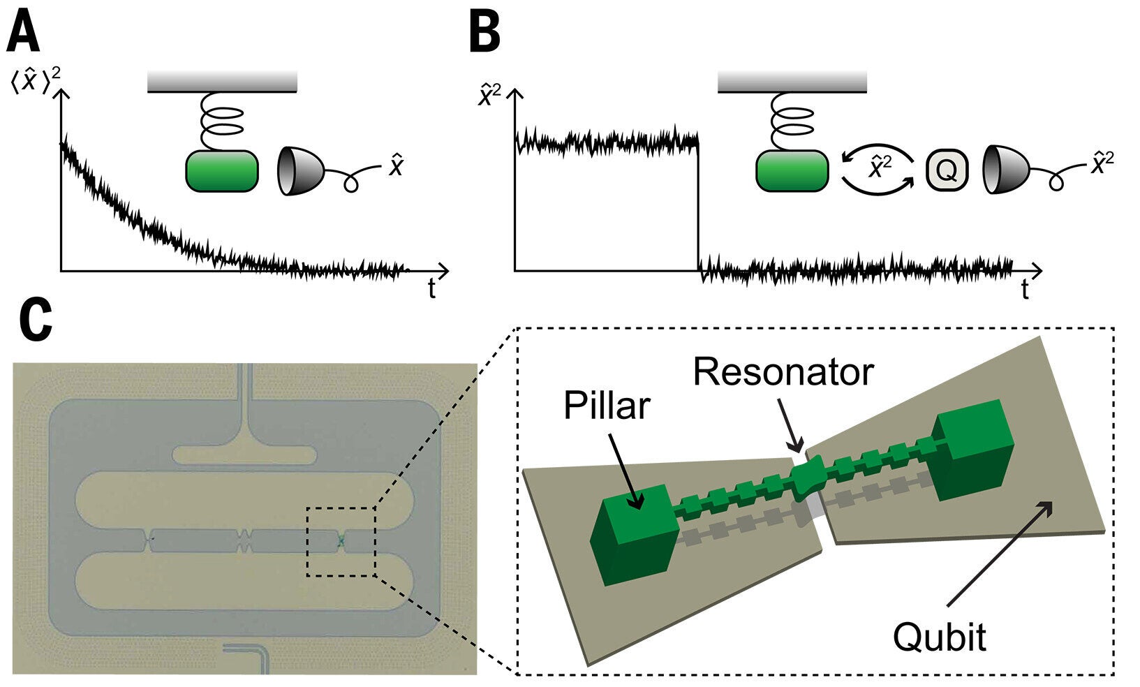 Device architecture. The quantization of sound is hidden from an observer measuring the position x̂(t) of a mechanical resonator. If an observer measures ⟨x̂(t)⟩ and calculates the energy of the resonator as ⟨x̂(t)⟩², a continuous exponential decay results.