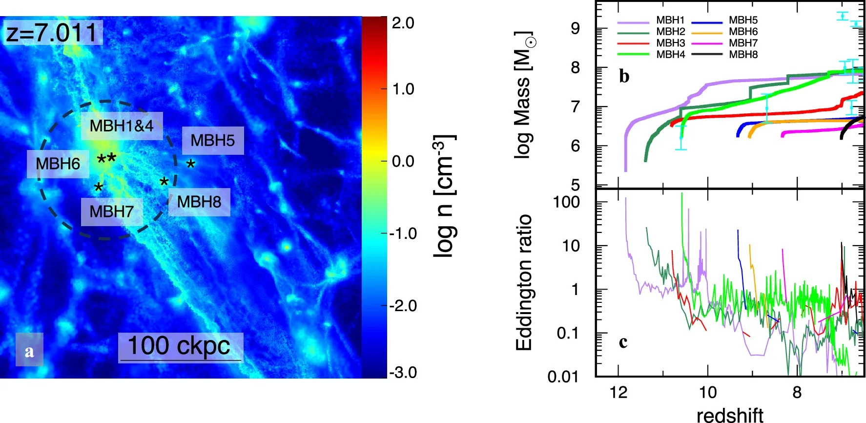 Spatial distribution of BHs in the zoom-in simulation of the later DCBH formation scenario.