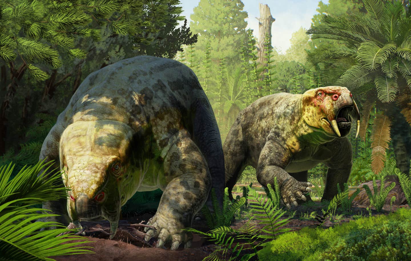 A museum fossil named after the Wamanda people is forcing scientists to reconsider the age of Tanzania’s earliest dinosaur candidates.