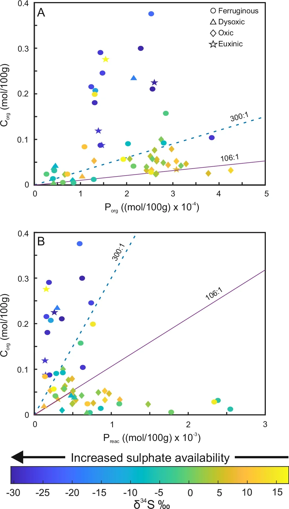 Relationship between organic carbon and different phosphorus pools for samples from drill-core EBA-2.
