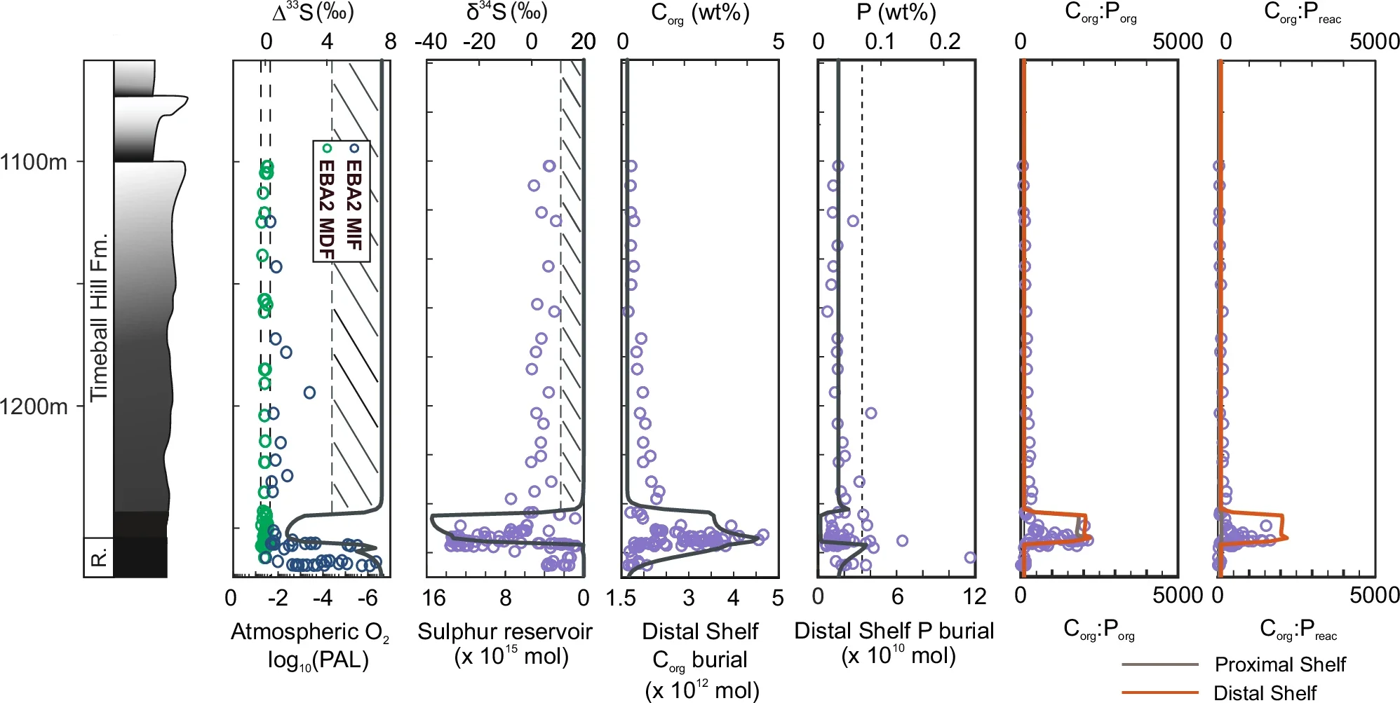 Biogeochemical modelling results.