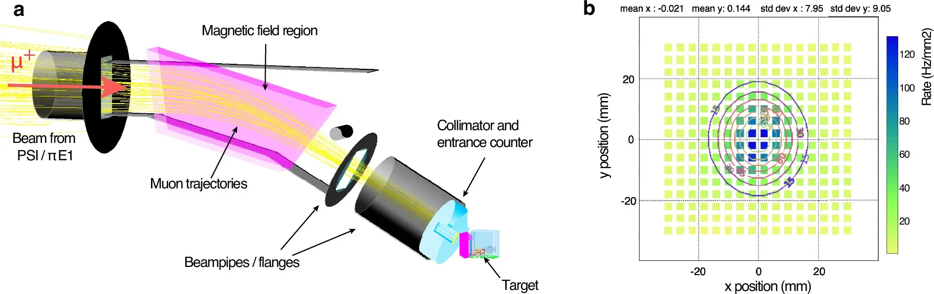 Simulation of the vertically bent beamline and the measured beam profile.